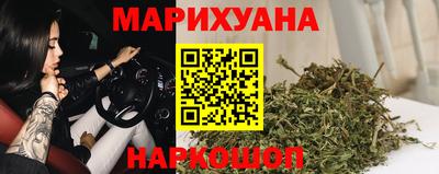 гашик Камышлов