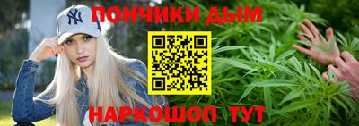 гашик Камышлов