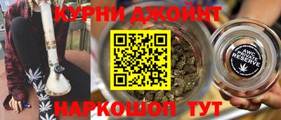 гашик Камышлов