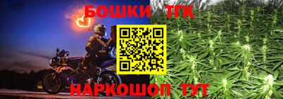 гидра Кандалакша