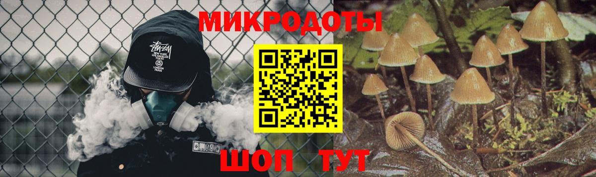 Псилоцибиновые грибы Cubensis Норильск
